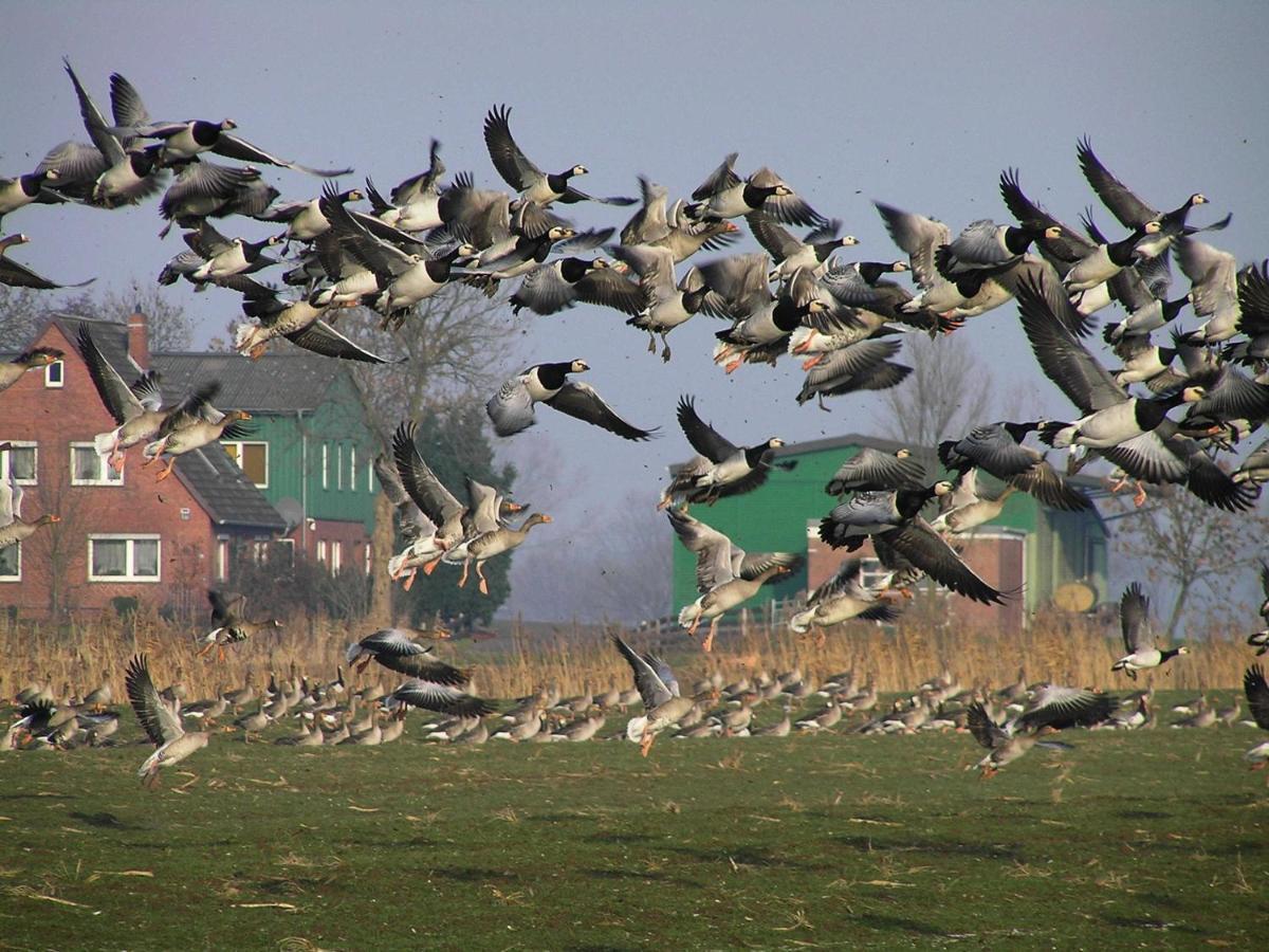 Апартаменты Holthus Кольмар Экстерьер фото